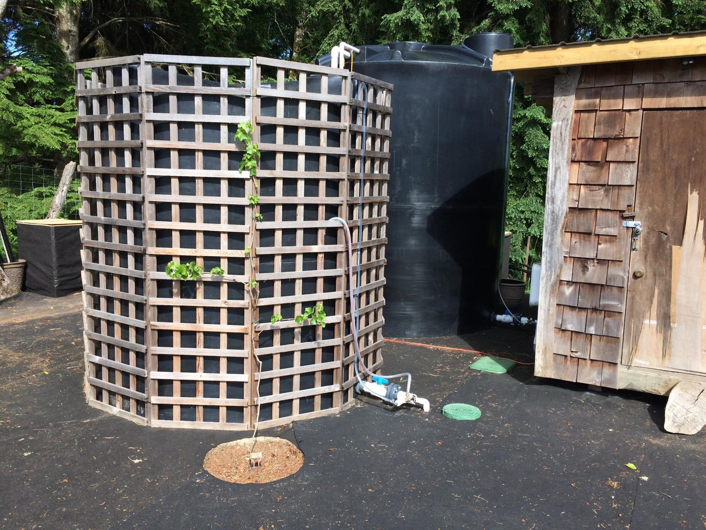 Rainwater Harvesting Demonstration (April 2025)