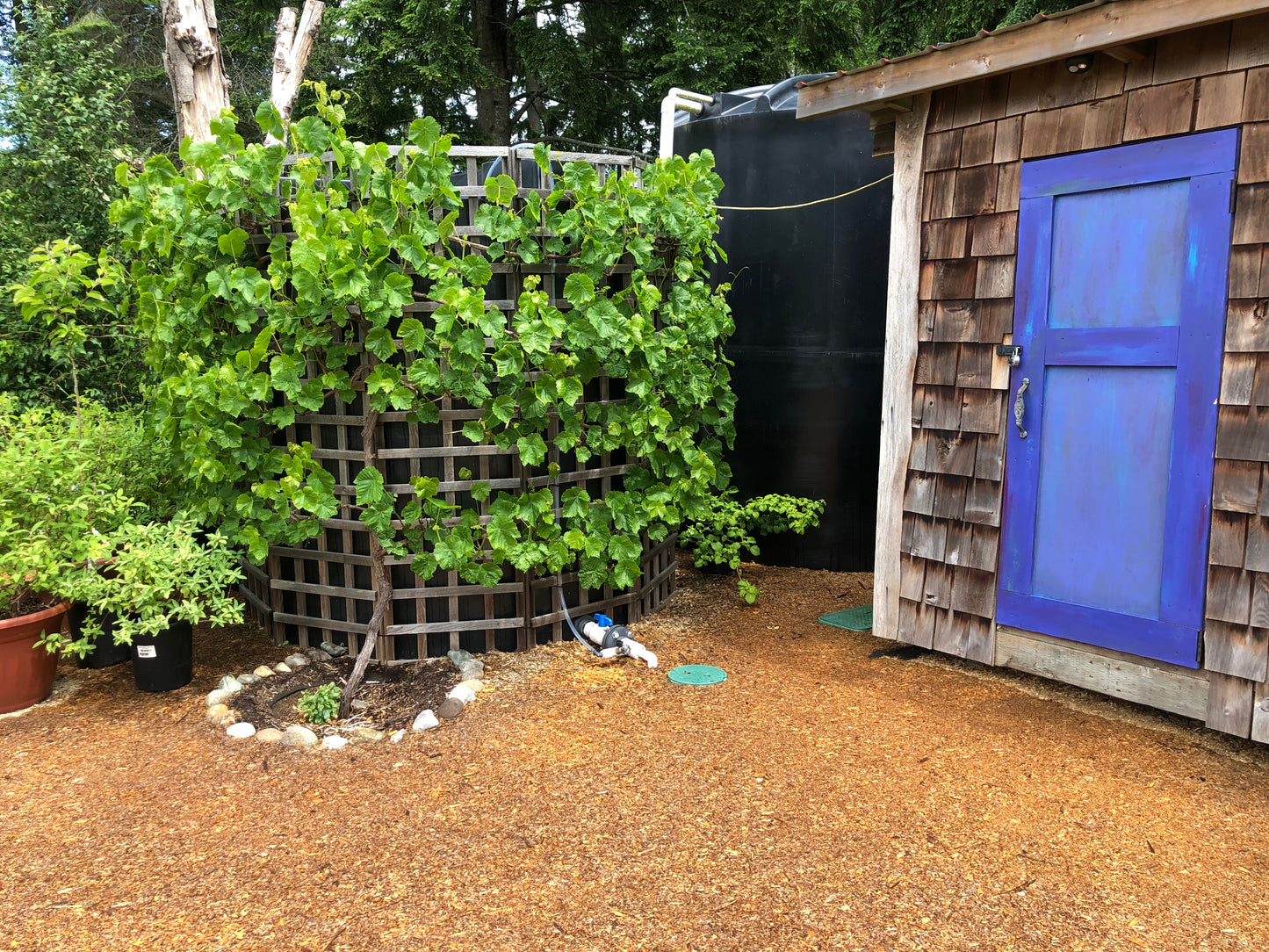 Rainwater Harvesting Demonstration (April 2025)