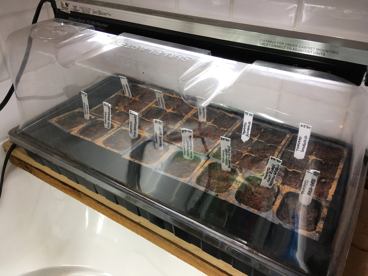 Seed Starting for the Home Flower and Vegetable Garden (February - March 2025)