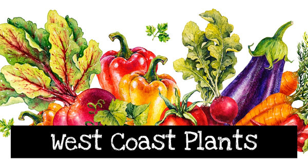 West Coast Plants