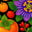West Coast Plants logo