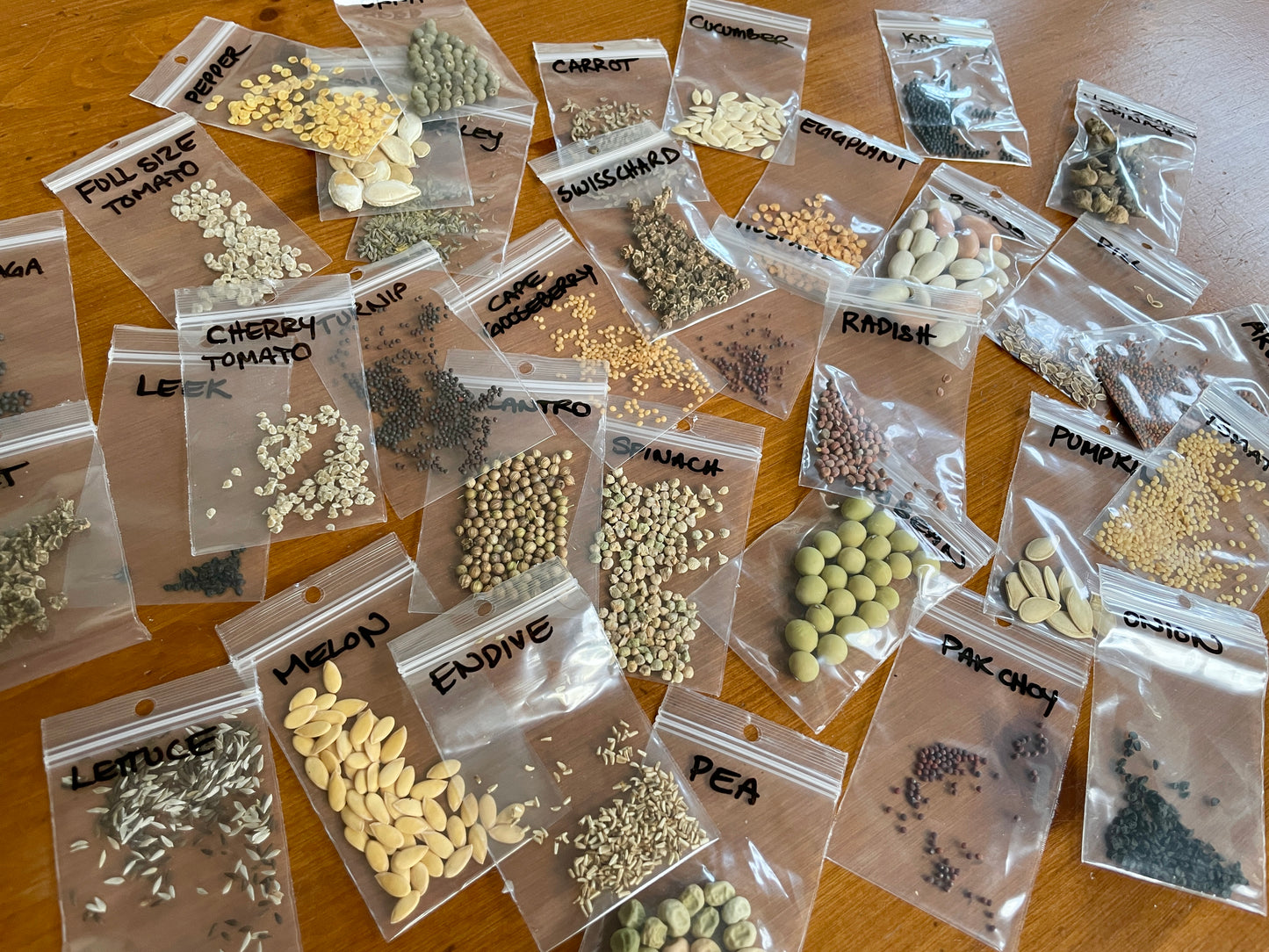 Seed Starting for the Home Flower and Vegetable Garden