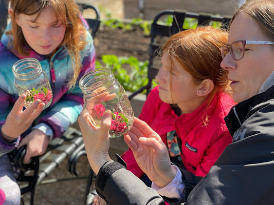 Mason Bee Celebration and Release (April 2025)