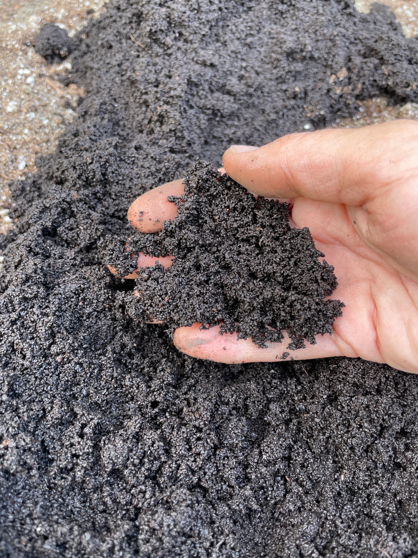 Organic Worm Castings