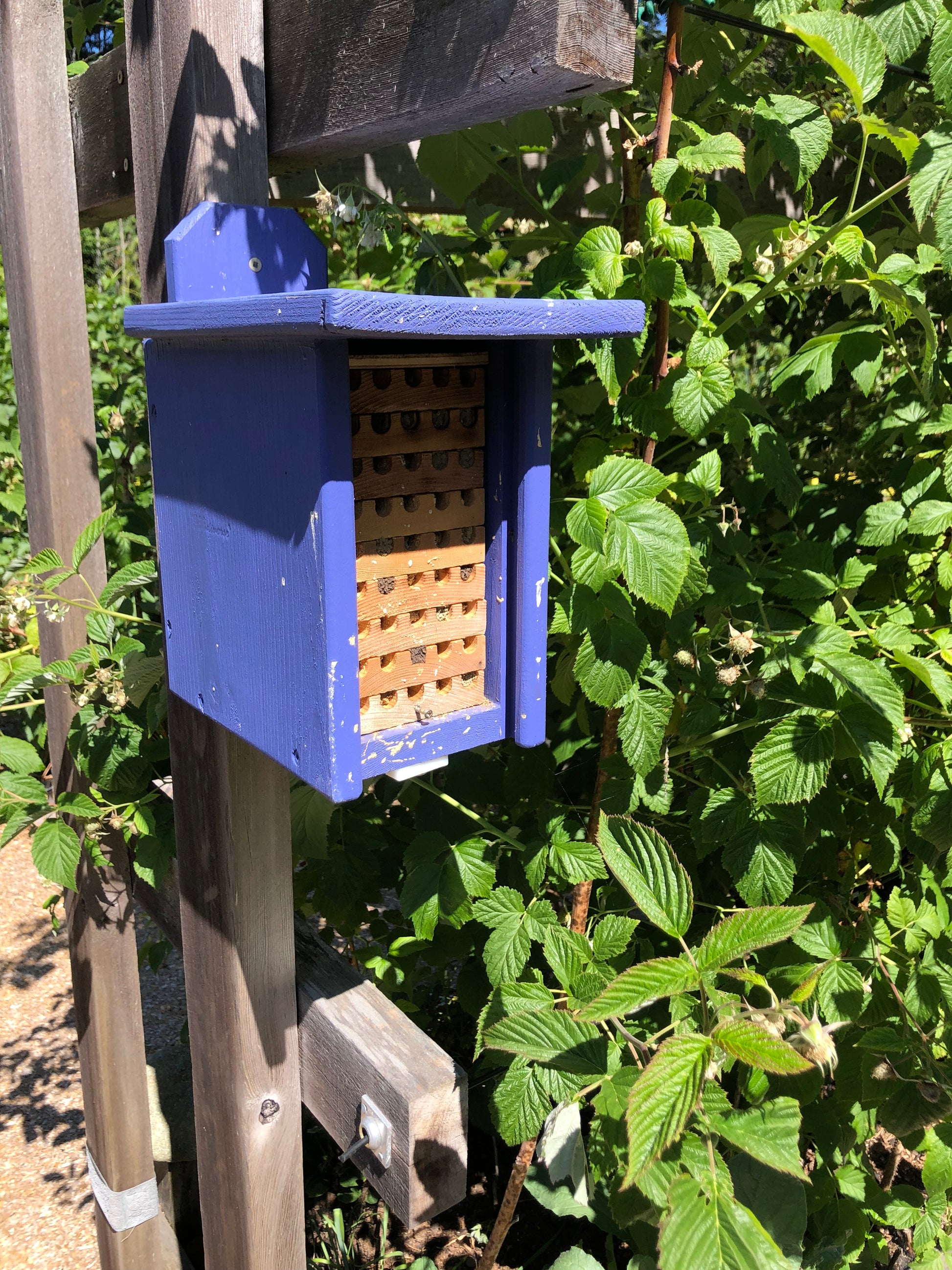 Mason bee house