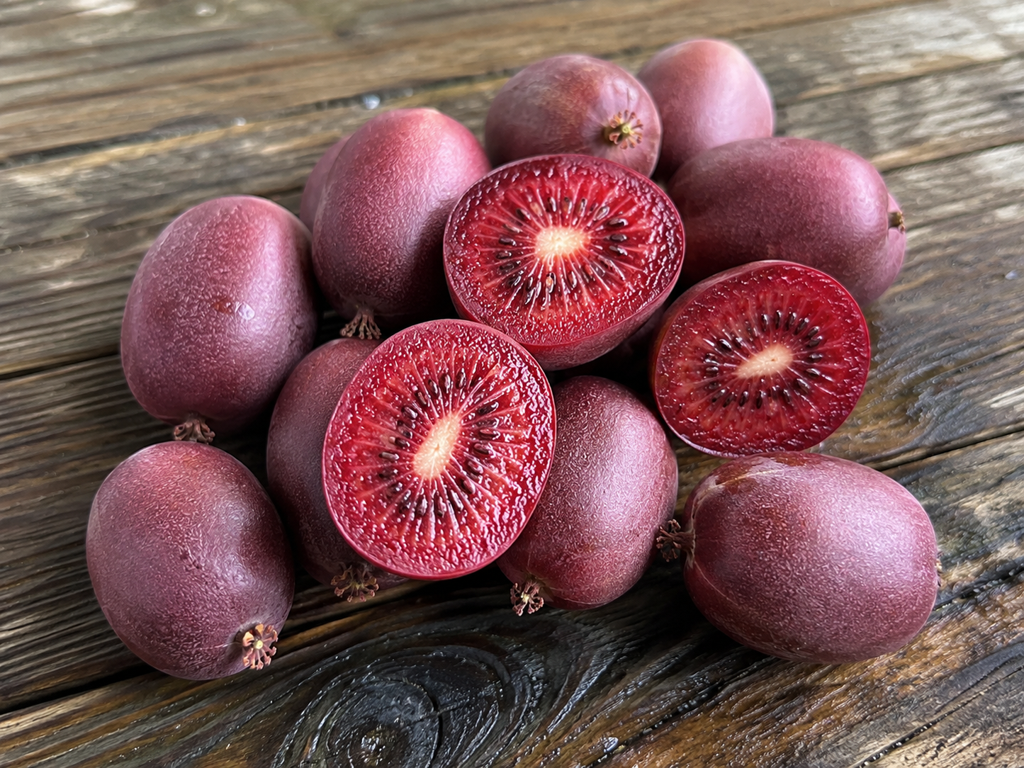 'Ken's Red' Hardy Kiwi (Female)